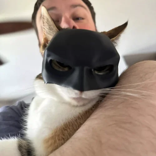 Cat Batman Mask  Unleash Your Cat's Inner Hero! photo review